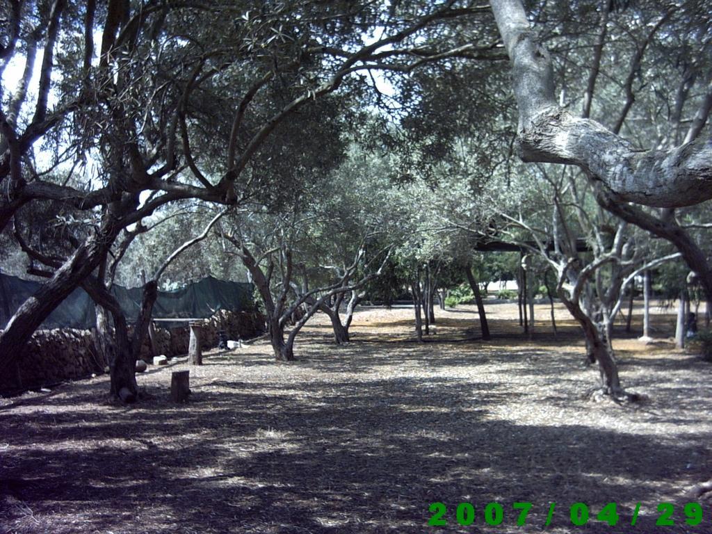 Agriturismo Mediterraneo Camping Marzamemi Exterior foto